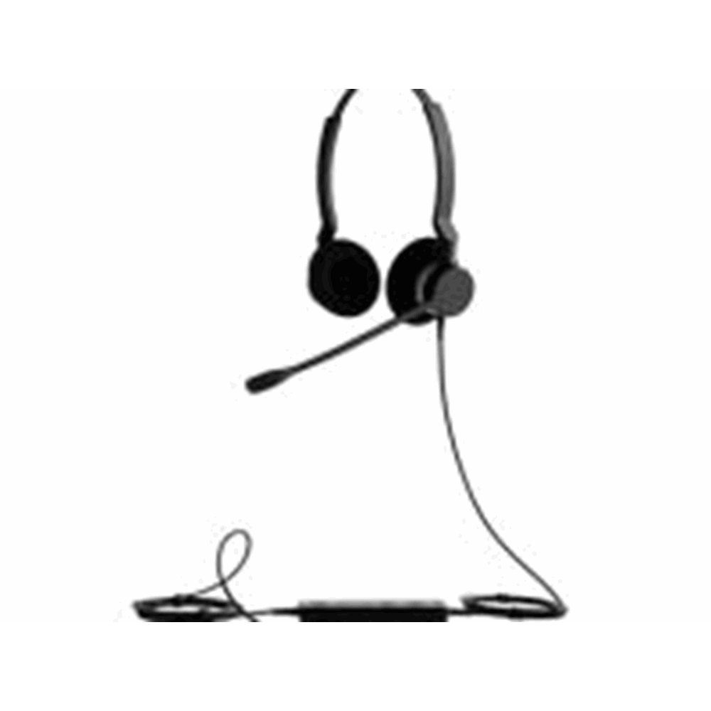 BIZ 2300 USB Duo