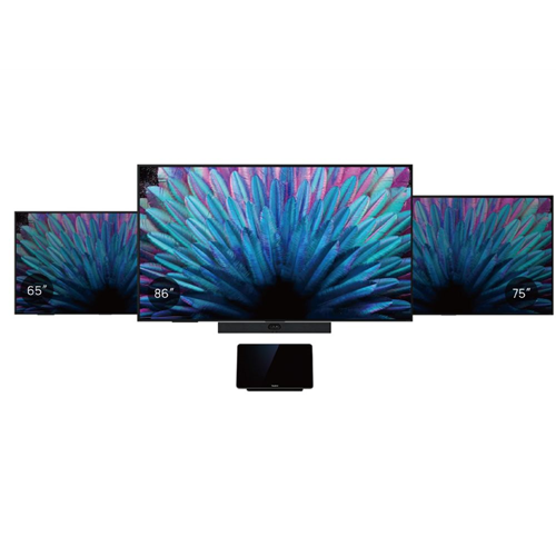 Meetingdisplay 65 inch MD65